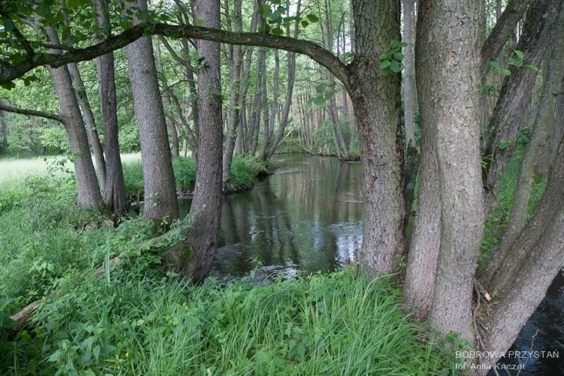 Bobrowa Przystan Vila Czechyn Exterior foto